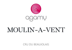 Alternative view of Moulin à Vent Rouge 2023