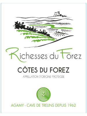 Alternative view of Côtes du Forez Richesses du Forez Rosé 2023