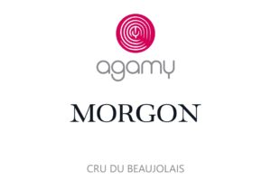 Alternative view of Morgon Rouge 2023