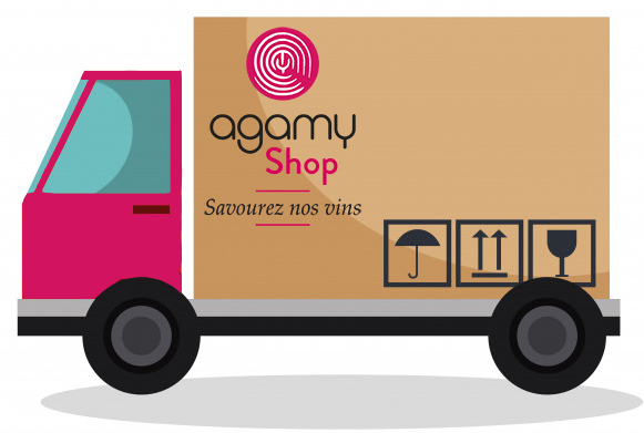 Agamy Shop