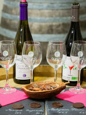 Immersion vignoble et gourmandise - vin et chocolats