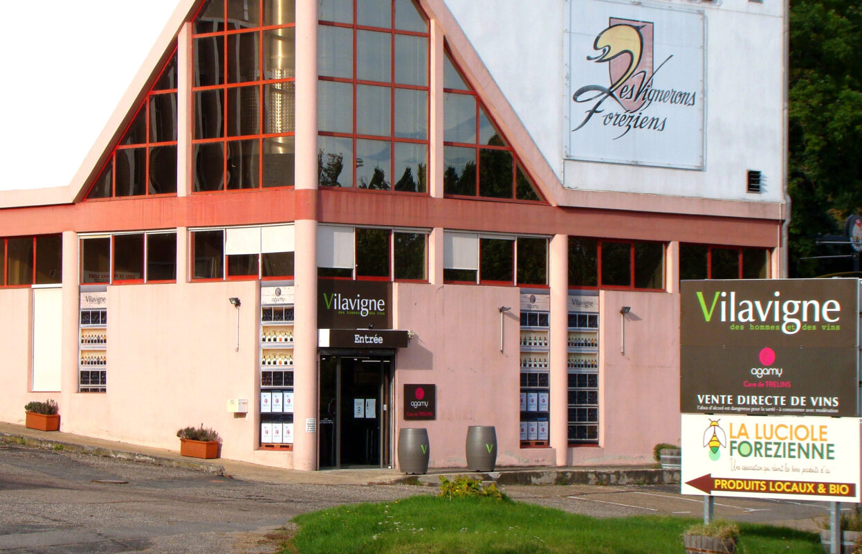 Agamy Shop