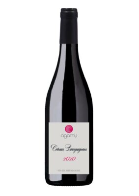 Coteaux Bourguignons 2020