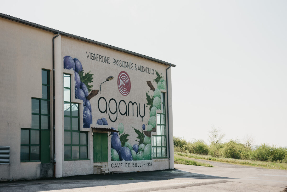 Agamy Shop